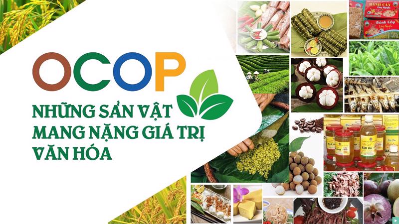 Sản phẩm OCOP